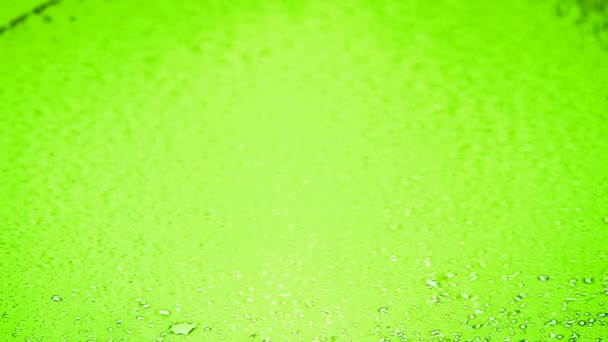 Loopbare verschijnen waterdruppels (time-lapse). Over sla groene achtergrond — Stockvideo