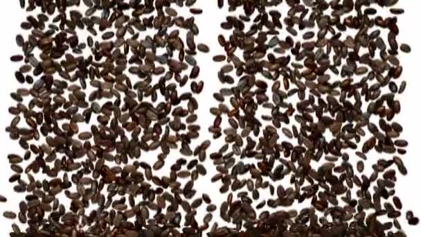 Llenar el marco con granos de café sin clasificar — Vídeo de stock