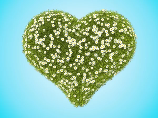 Erba verde a forma di cuore con fiori di camomilla su blu — Foto Stock