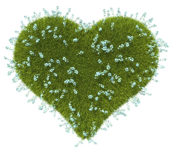 Green grass heart shape with forget-me-not flowers — Stock Photo, Image