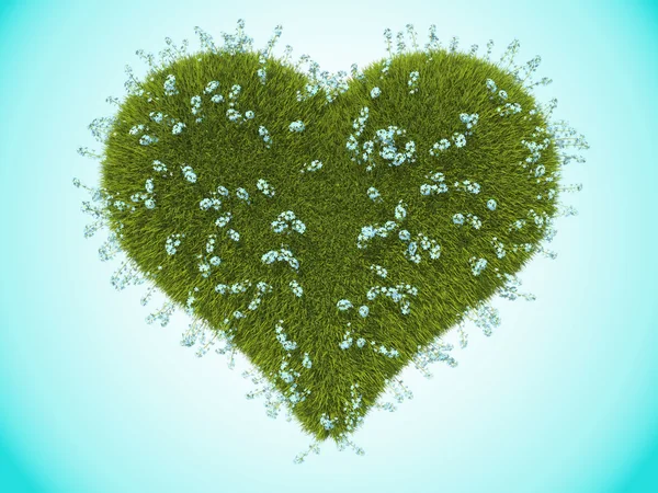 Grünes Grasherz mit Vergissmeinnicht-Blumen — Stockfoto