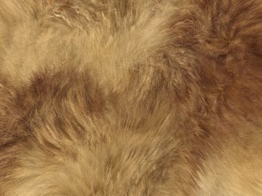 Fashion: fox fell or fur background clipart