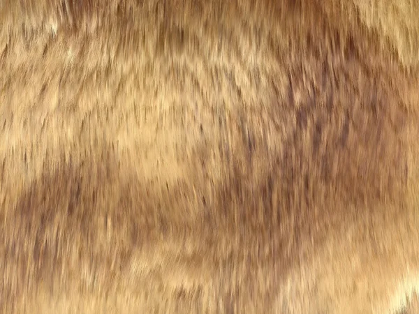Caiu: padrão de pele de raposa marrom ou fundo — Fotografia de Stock