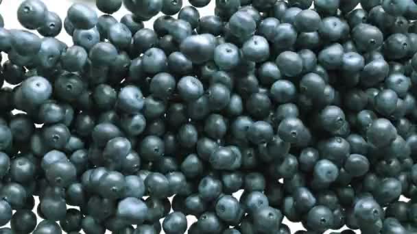 Blueberry flux au ralenti et remplissage de l'écran .