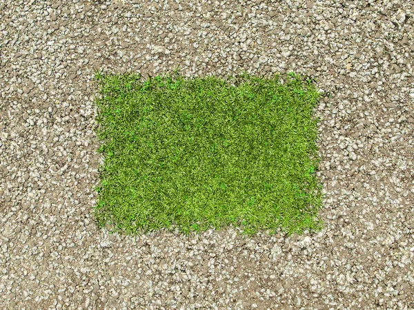 Environment: gravel frame and green grass patch — Stock Photo, Image