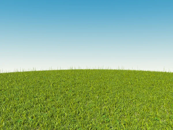 Зеленая трава на холме и голубое небо — стоковое фото