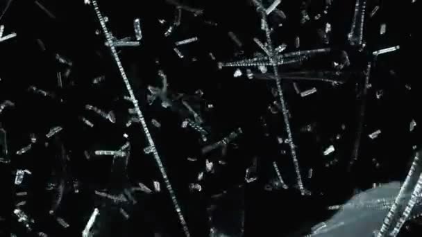 Morceaux de verre brisé 