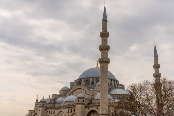 Türkiye 'nin en güzel ve en saygın camilerinden biri olan Süleyman Camii. İstanbul 'da Mart 2021' de yakalandı.