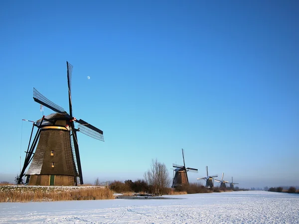 L'hiver aux Pays-Bas — Photo