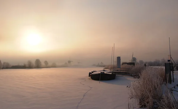 네덜란드 겨울 일출 — 스톡 사진