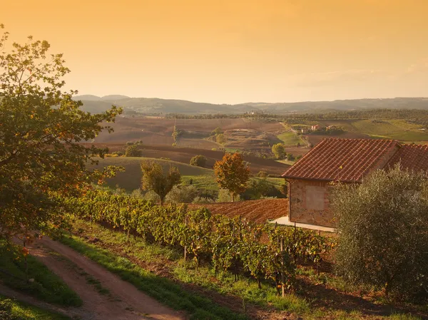 Herbstliche Landschaft der Toskana — Stockfoto