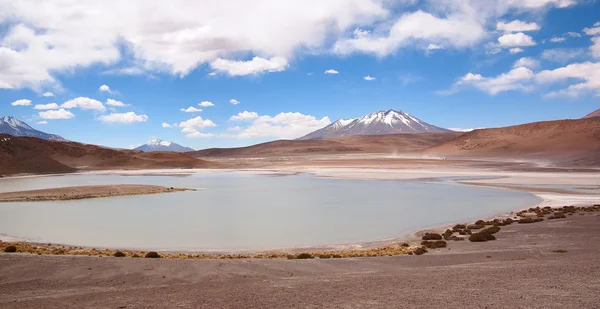 Laguna na altiplano w Boliwii — Zdjęcie stockowe