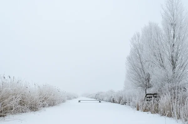 Canal de inverno no nevoeiro — Fotografia de Stock