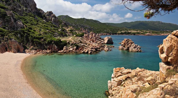 Typiskt Klart Vatten Och Röda Klippor Paradise Beach Sardinien Italien — Stockfoto