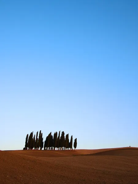 Paisagem típica da Toscana — Fotografia de Stock