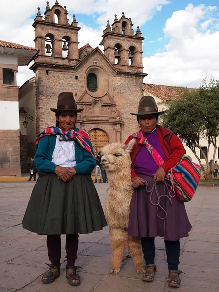 Kvinnor med alpacka i peru — Stockfoto