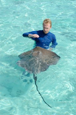 stingray içinde bir lagün ile oynarken turizm