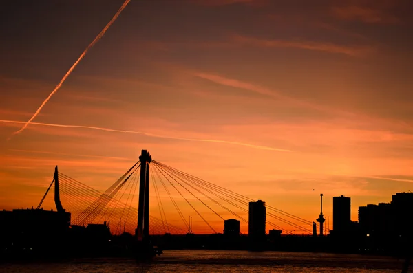 Ciudad de Rotterdam horizonte atardecer —  Fotos de Stock