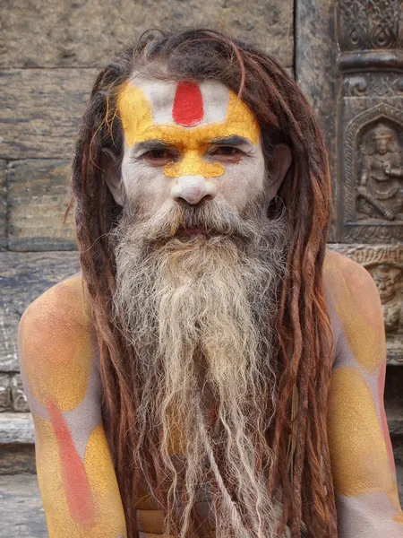 Sadhu — Stock Photo, Image