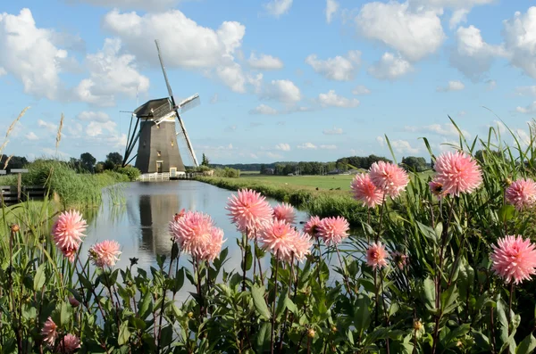 Molino de viento y flores en Holanda — Foto de Stock