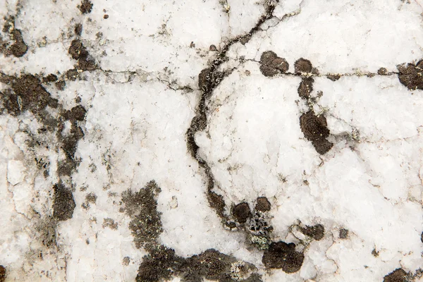 Pierre de quartz dans la nature. texture — Photo