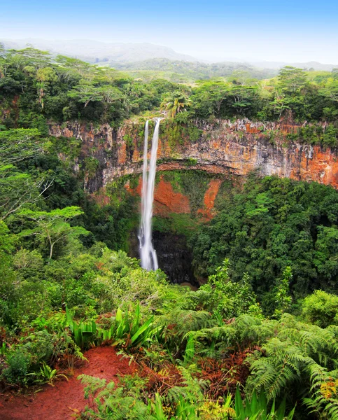 Chamarel водоспад. Маврикій Ліцензійні Стокові Фото