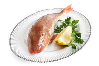 gallinella di mare-küvet kırlangıç