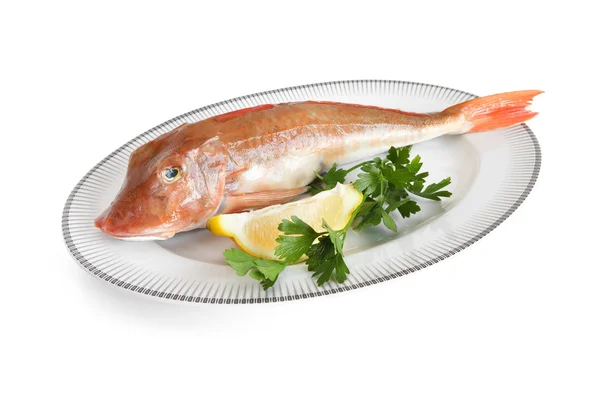 Tub gurnard - gallinella di mare — Stock Photo, Image