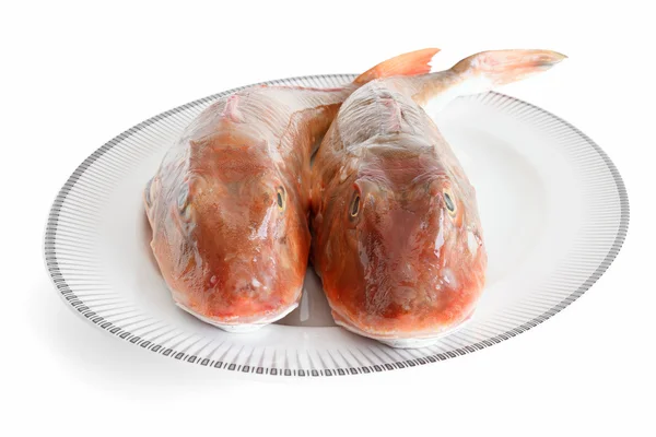 Due gallinelle di mare- two tub gurnards — Stock Photo, Image