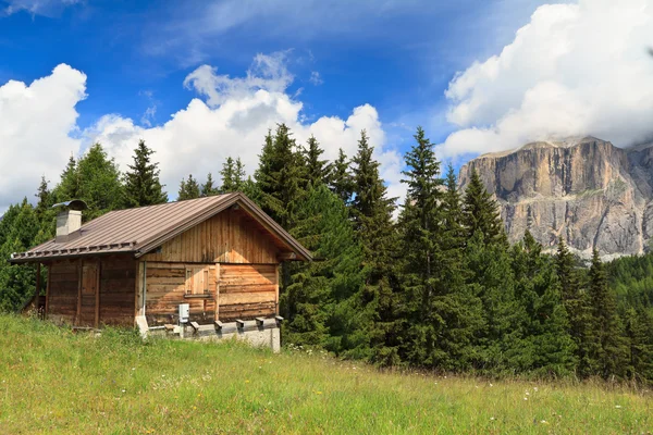 Schuur op het alpenweide — Stockfoto