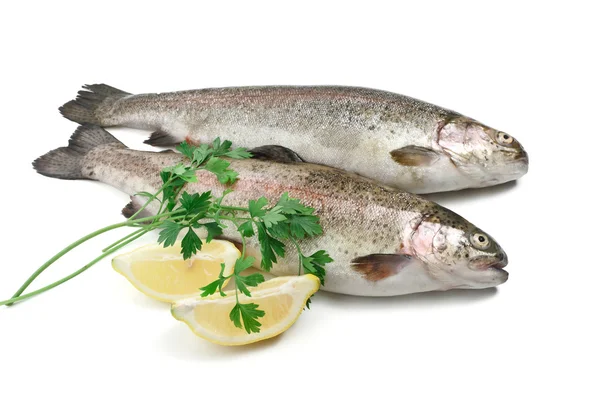 Trouts with lemon and parsley — Stock Photo, Image