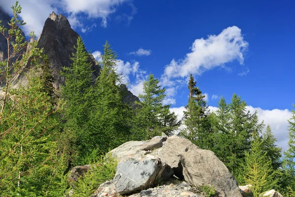 Valle Veny, Italia — Foto Stock