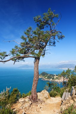 Tigullio Körfezi, liguria, İtalya