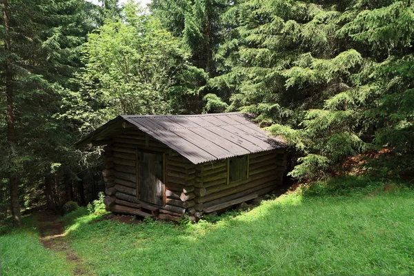 Barn on the forest — Stock Photo, Image