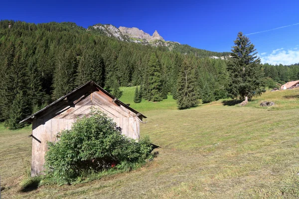 Demmiti - view in Val di Faba — стоковое фото