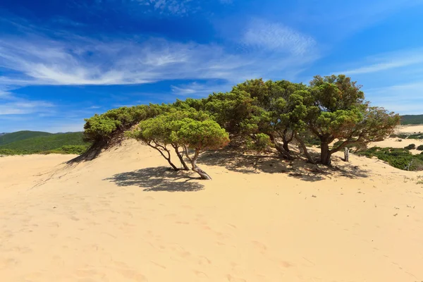 Piscinas dune - Sardinia, Italy — Stock Photo, Image