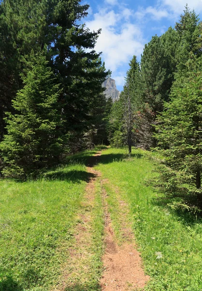 Alpine path — Stock Photo, Image