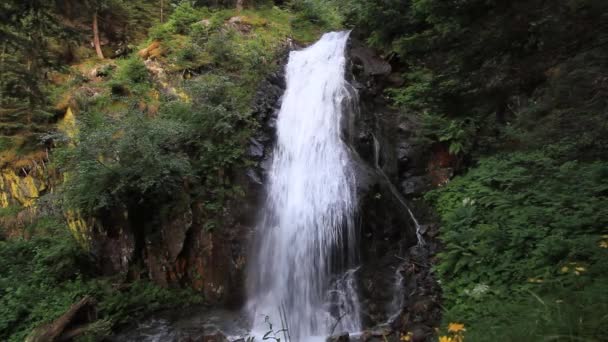Palù waterfall - Vermiglio, Italy — Stockvideo