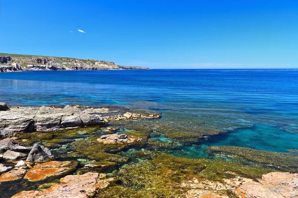 Sardinia - shore in San Pietro island — Stock Photo, Image