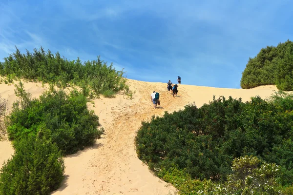 Piscinas dunes — Stock Photo, Image