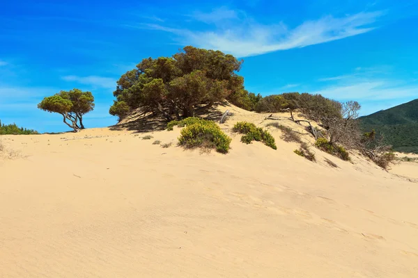 Sardinia - Piscinas dune — Stock Photo, Image