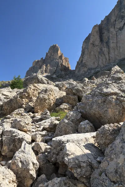 Dolomiti - catinaccio hora — Stock fotografie