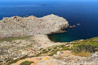 Sardunya - cape sandalo