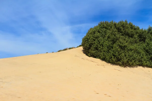 Piscinas - sandy dune — Stock Photo, Image