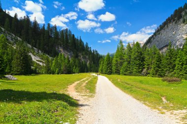 Dolomiti - contrin Vadisi