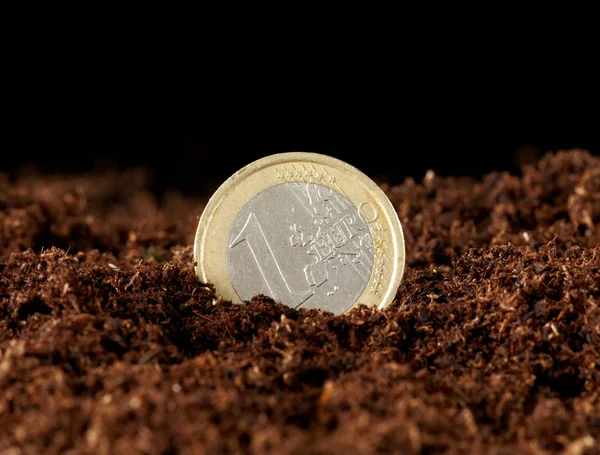 Euro money growing in the ground — Stock Photo, Image