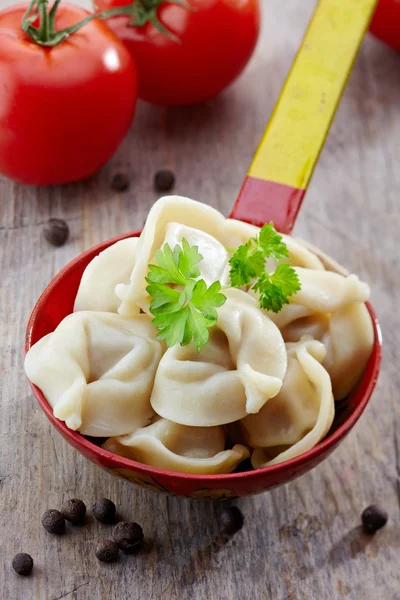Dumplings pelmeni ruso —  Fotos de Stock