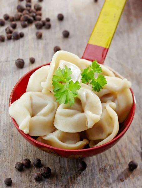 Dumplings pelmeni ruso — Foto de Stock