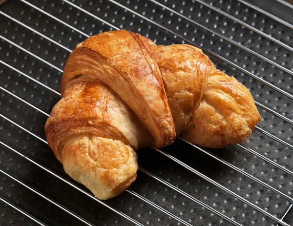 Frissen sütött croissant — Stock Fotó