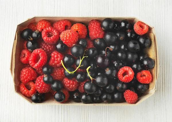 Fresh raspberries and black currant berries in a box — Stock Photo, Image